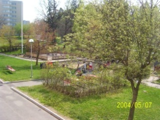 Bild på ett träd och en lekplats