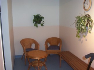 Bild på stolar, ett bord, en bänk och växter i ett hörn